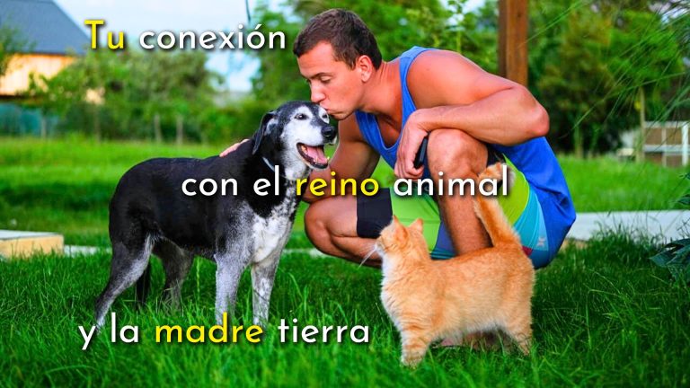 opiniones curso online Comunicacion Intuitiva con Animales Avanzado Yolanda Caballero cual es el objetivo