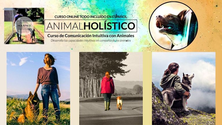opiniones curso online Comunicacion Intuitiva con Animales Avanzado Yolanda Caballero metodologia