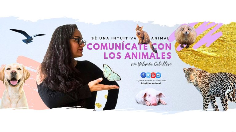 opiniones curso online Comunicacion Intuitiva con Animales Avanzado Yolanda Caballero modulos extras bonus