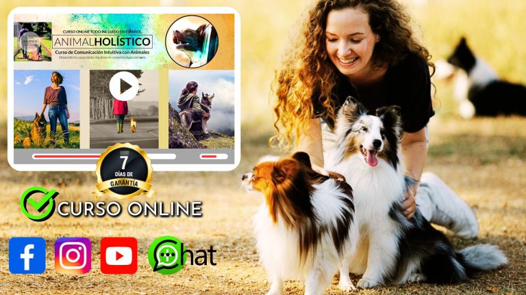 opiniones curso online Comunicacion Intuitiva con Animales Avanzado Yolanda Caballero opiniones finales