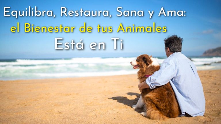opiniones curso online Mesa Radionica de Animales Adriana Echeverri Cual es el objetivo del curso