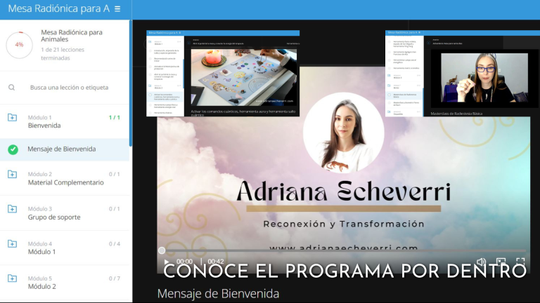 opiniones curso online Mesa Radionica de Animales Adriana Echeverri contenido del curso