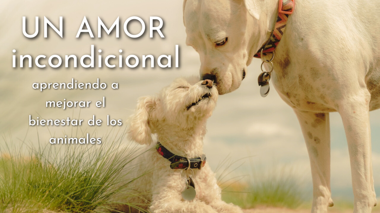 opiniones curso online Mesa Radionica de Animales Adriana Echeverri precio del curso