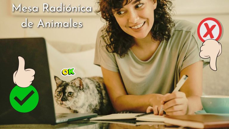 opiniones curso online Mesa Radionica de Animales Adriana Echeverri ventajas y desventajas