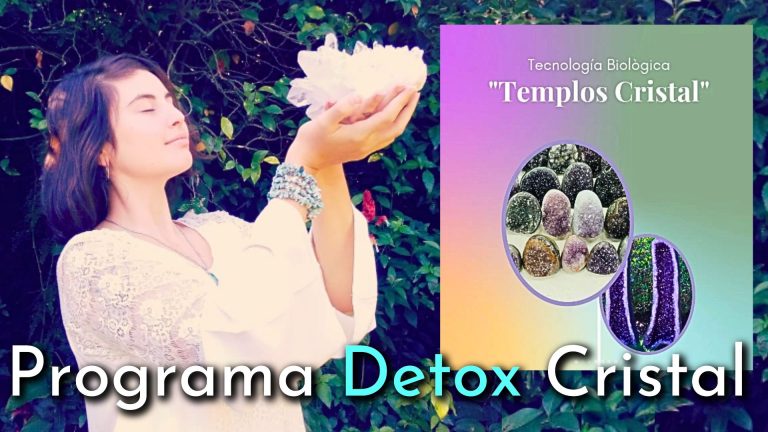 opiniones curso online PROGRAMA DETOX CRISTAL LADYUM Catalina Reich De Vita cual es el objetido